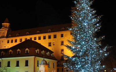Vianočné osvetlenie stromov